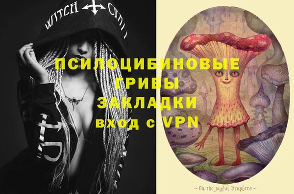 твердый Гусь-Хрустальный