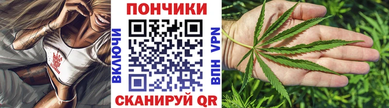 Бошки Шишки сатива  Саяногорск 